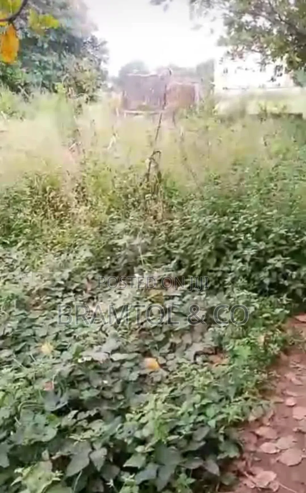 Residential Rofo 700sqm in Katampe in Katampe (Main)
