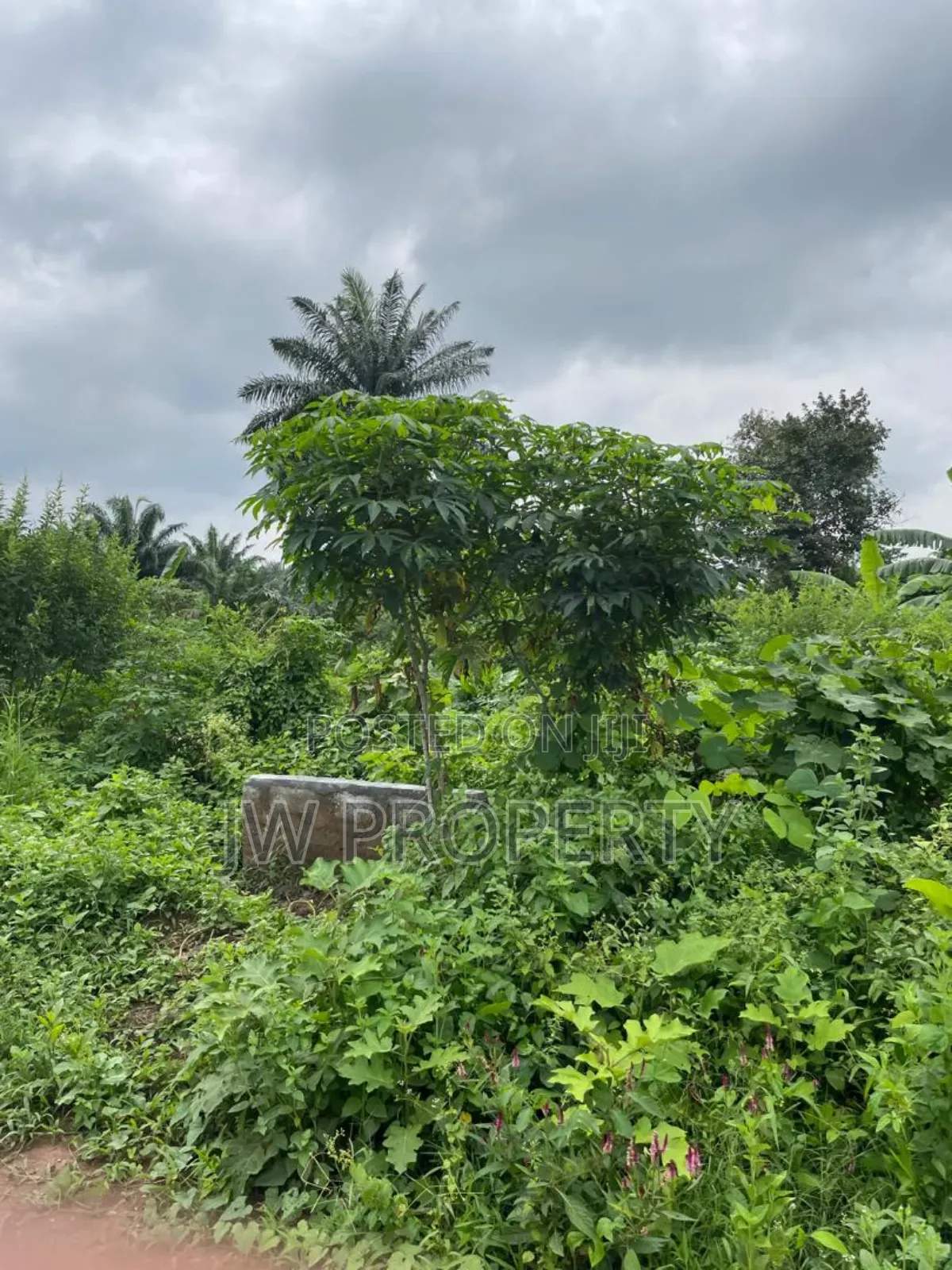 Family Receipt and Deed in Ipaja Road