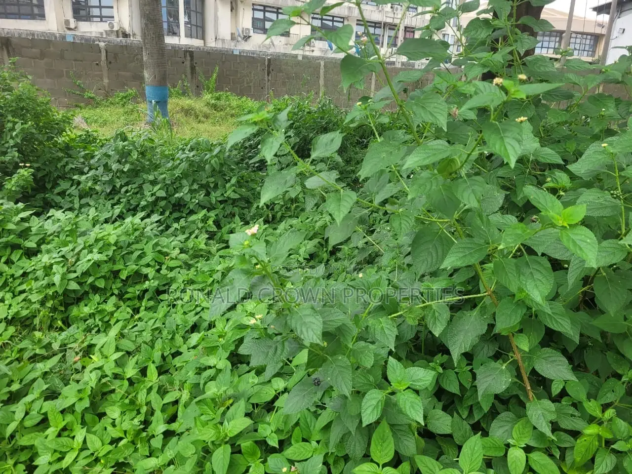 Dry 2,009 Square Meters for Sale at Ikeja in Awolowo Way