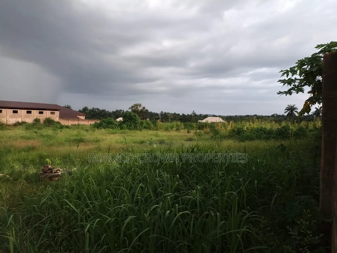 8000sqm Land Plus Warehouse For Lease At Surulere in Eric Moore