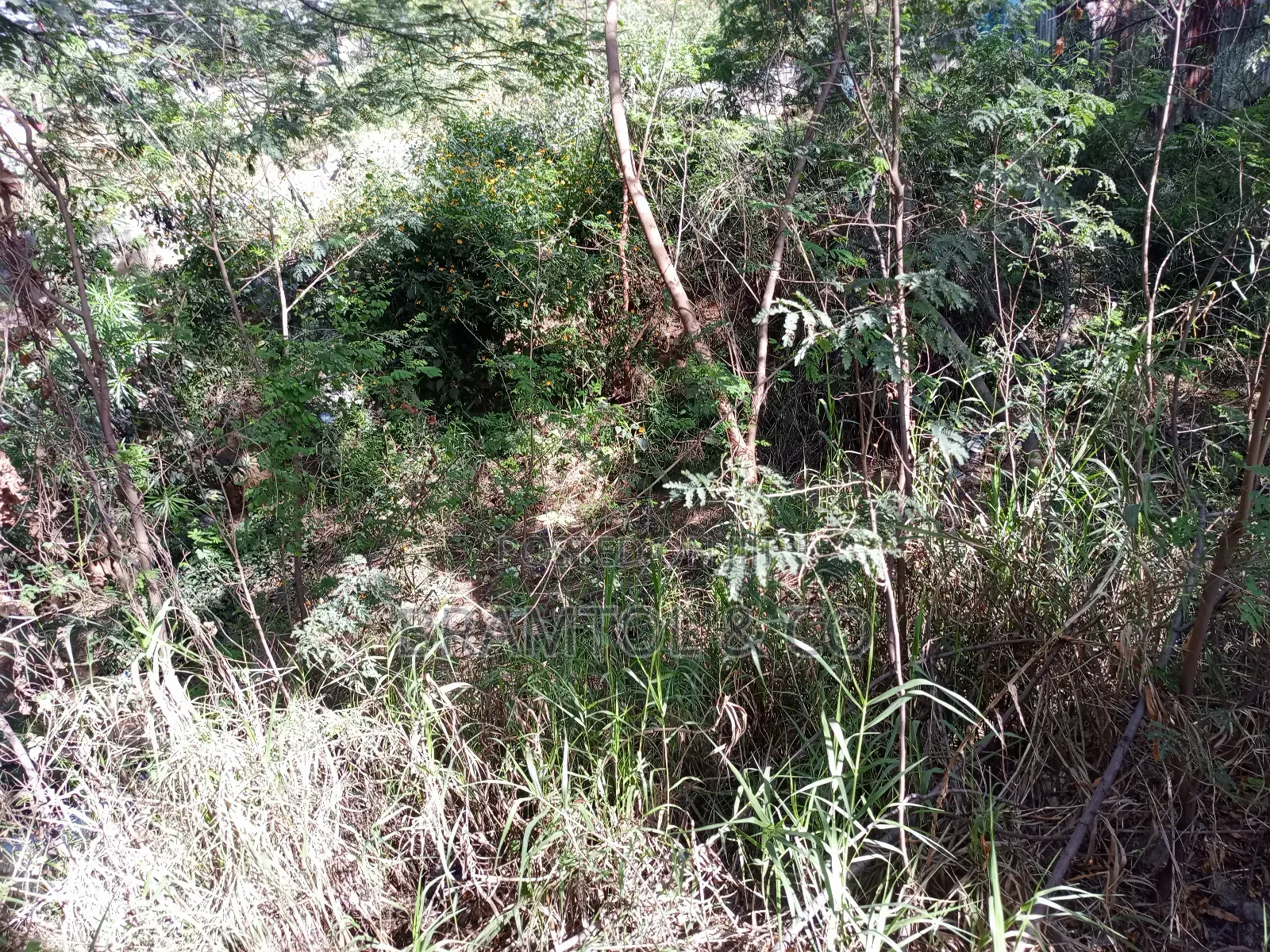 1500sqm Residential C Of O Plot At Kyami Aviation in Katampe (Main)