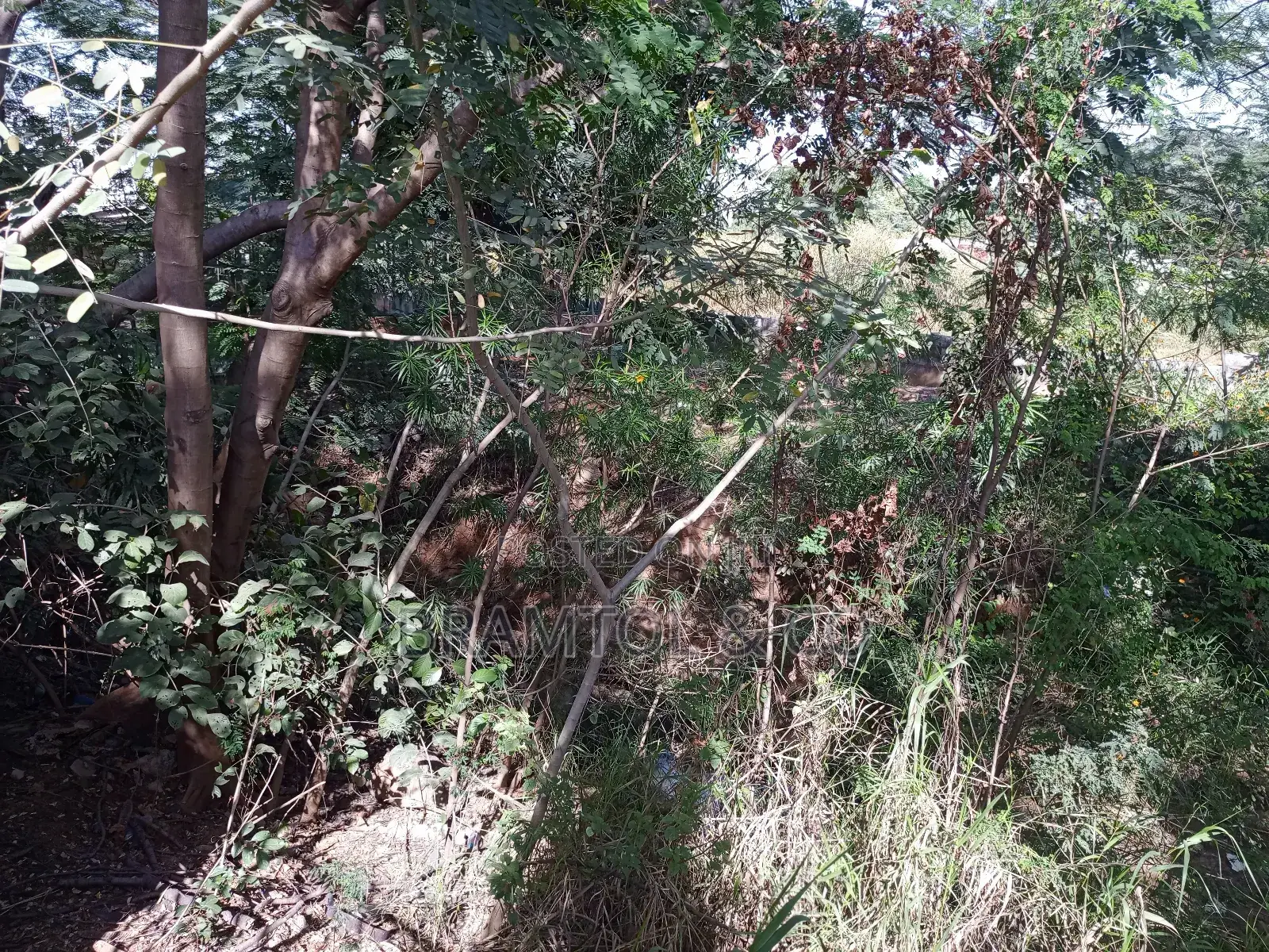 3,500sqm Residential C Of O Plot In Katampe Main in Katampe (Main)
