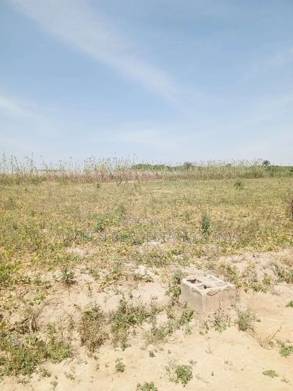 2 Hectares of Land for Sale in Karshi