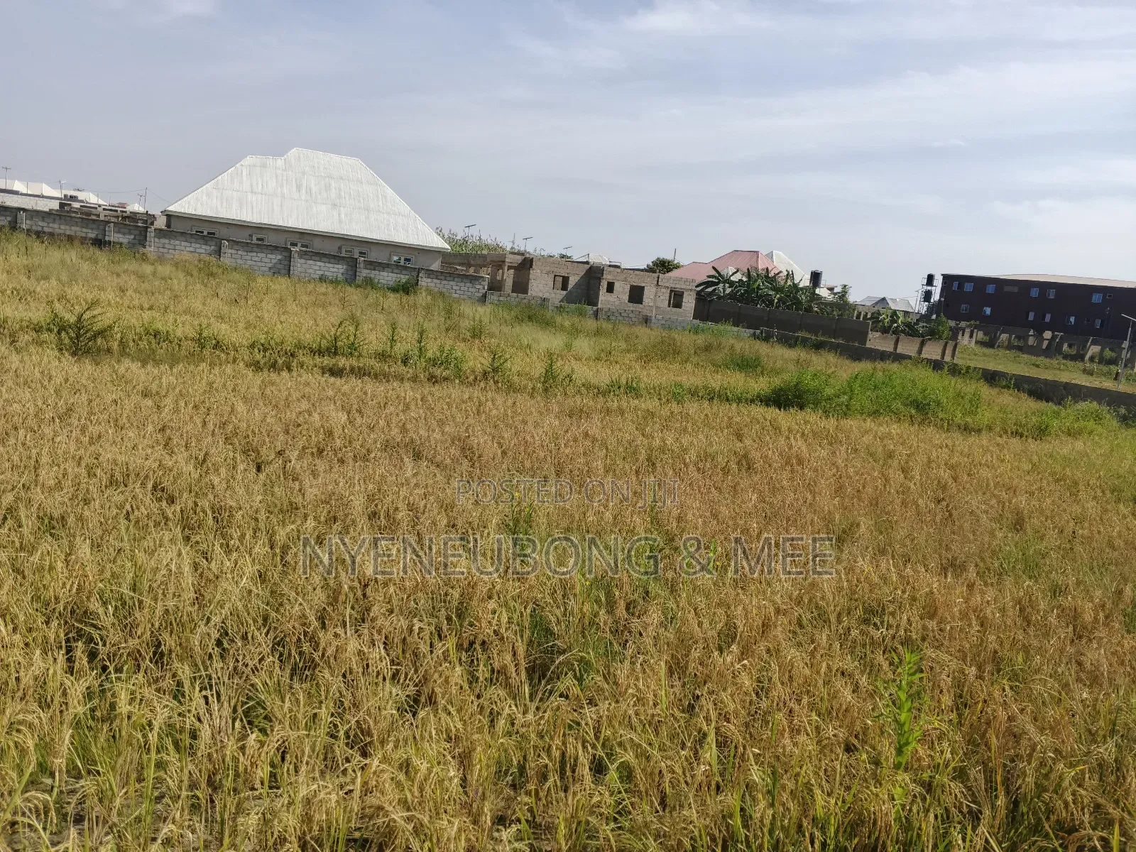 500sqm. Virgin Land For Sale in Karu