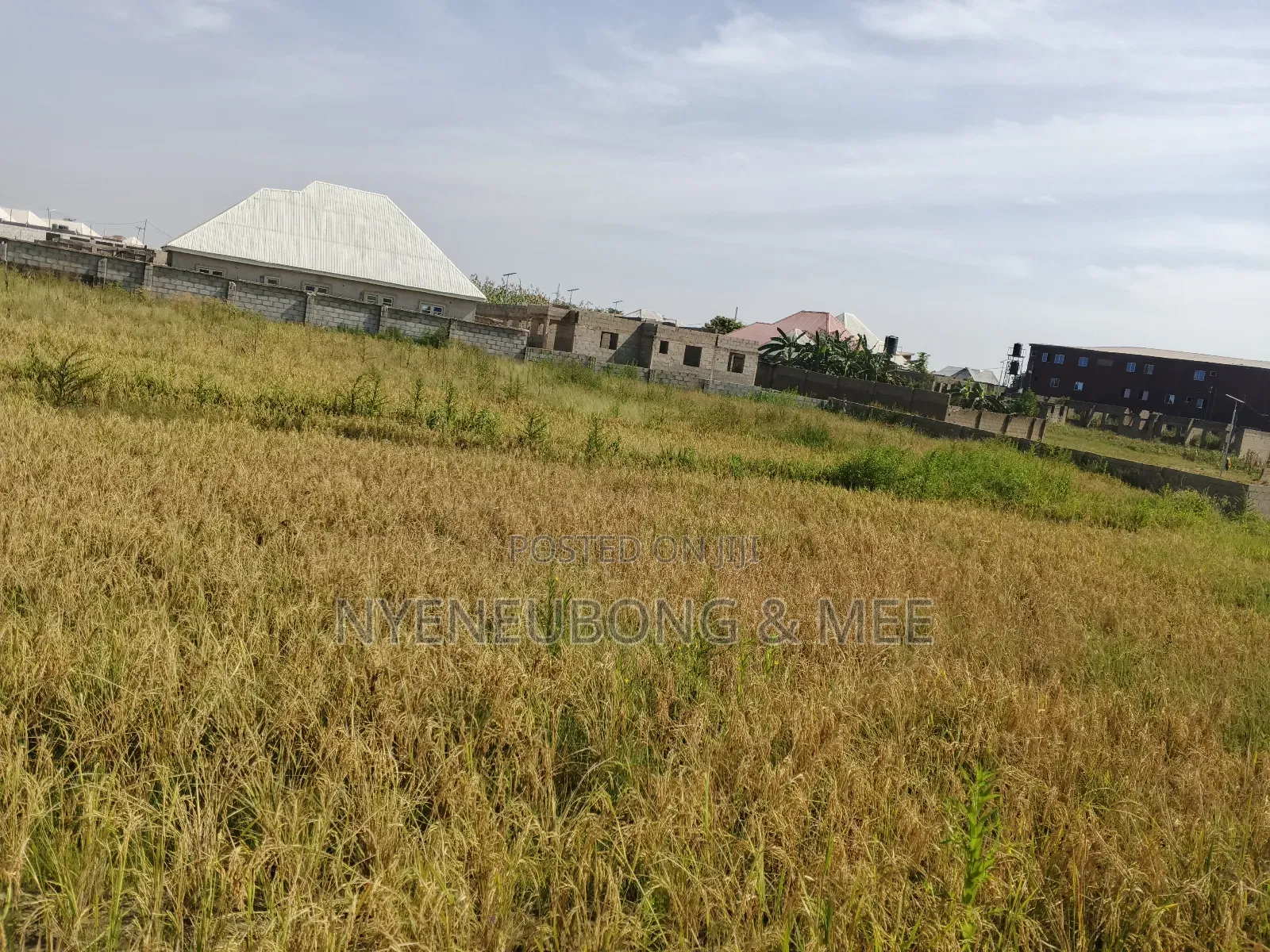 500sqm. Virgin Land For Sale in Karu