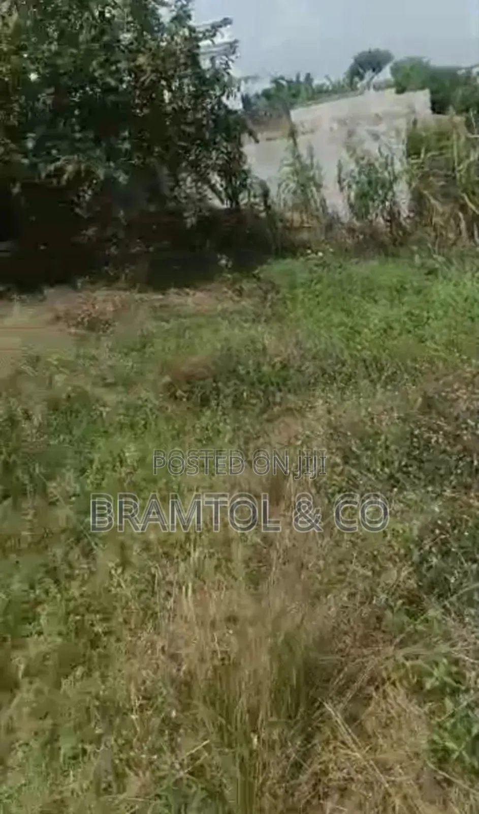 Residential 1600sqm Paper but More Than 2000sqm on Ground, Wuye Main in Wuye