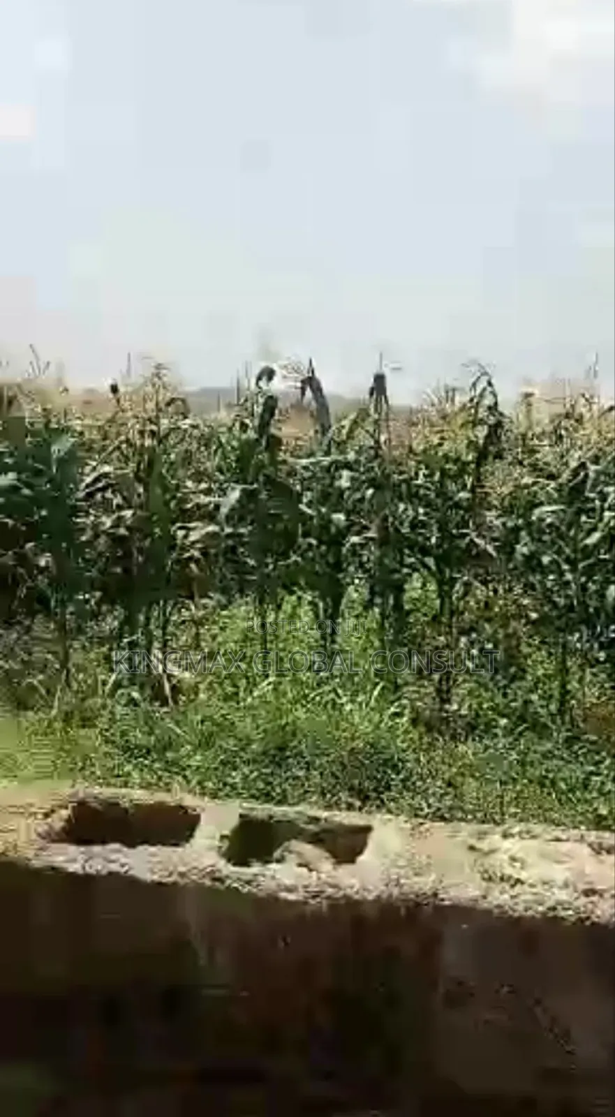 For Sale 
Jahi 
Residential Land for 
7,694.76 SQM in Jahi