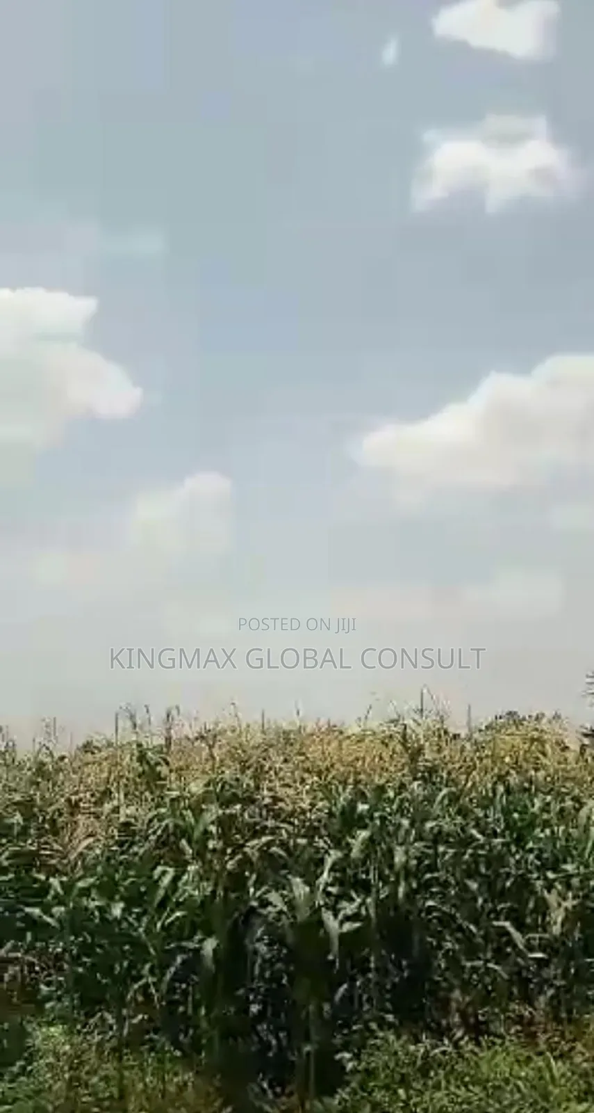For Sale 
Jahi 
Residential Land for 
7,694.76 SQM in Jahi