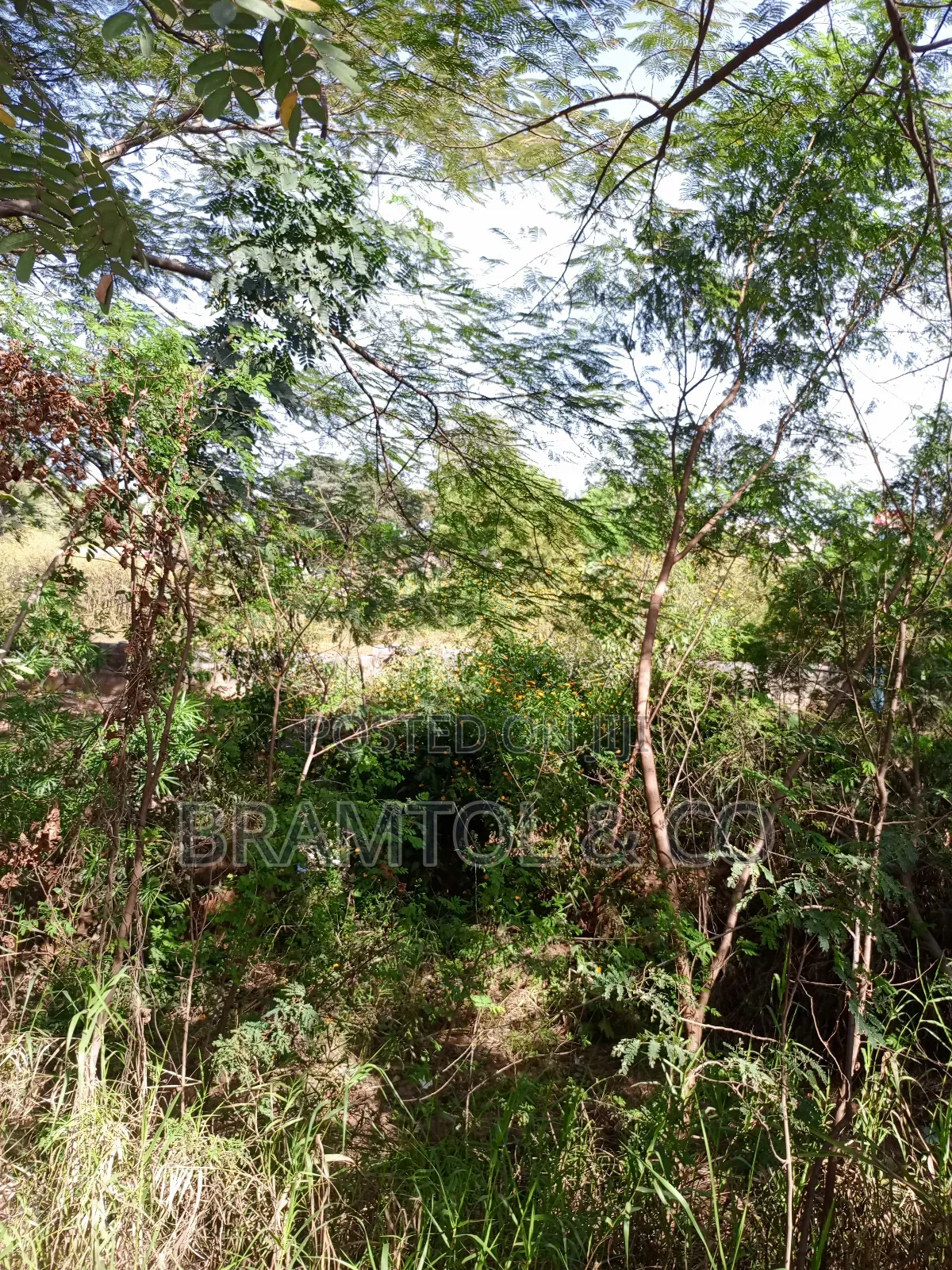 Almost One Hectares Mixed Use Land I Jabi Main in Jabi