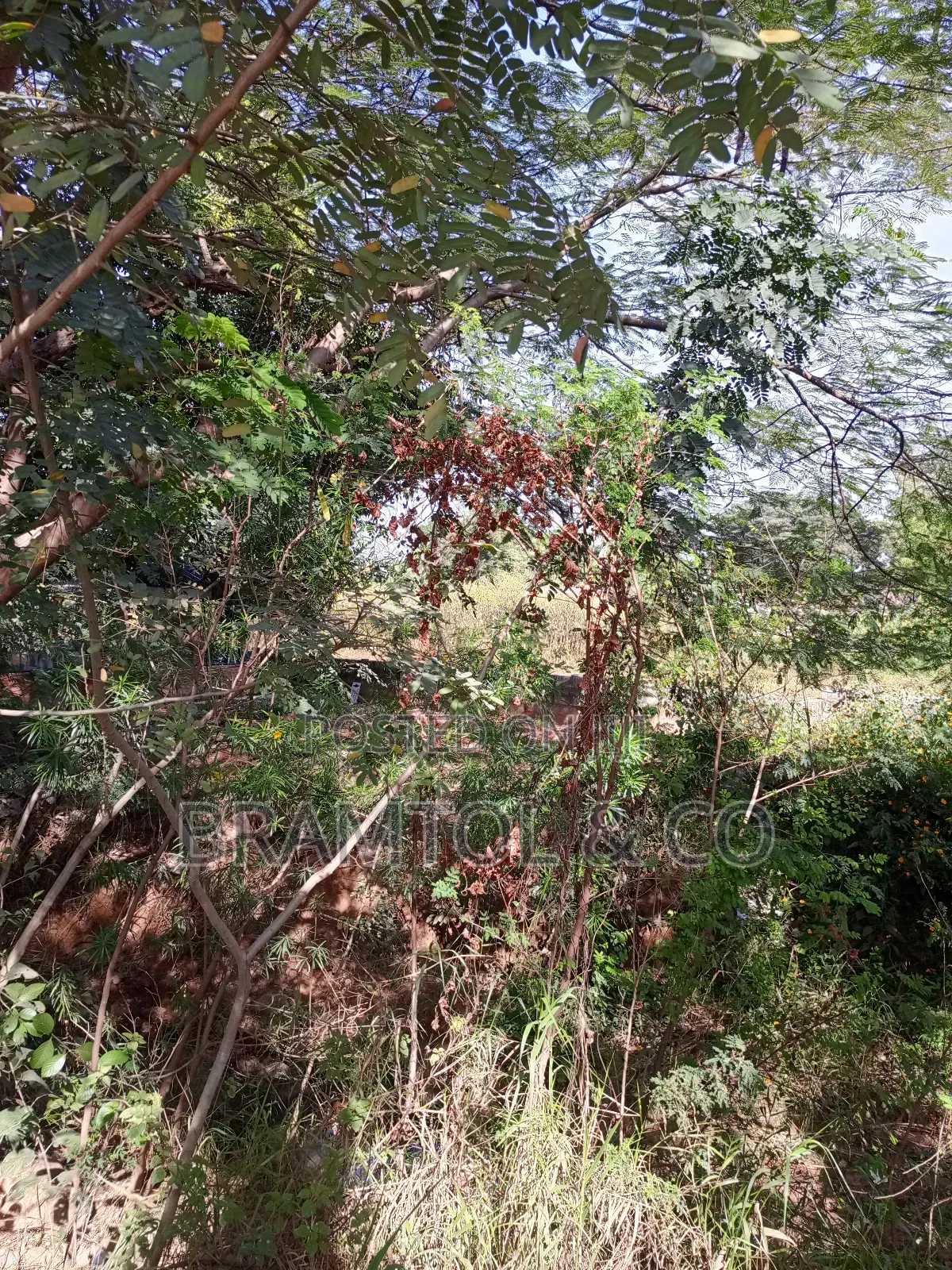 Almost One Hectares Mixed Use Land I Jabi Main in Jabi