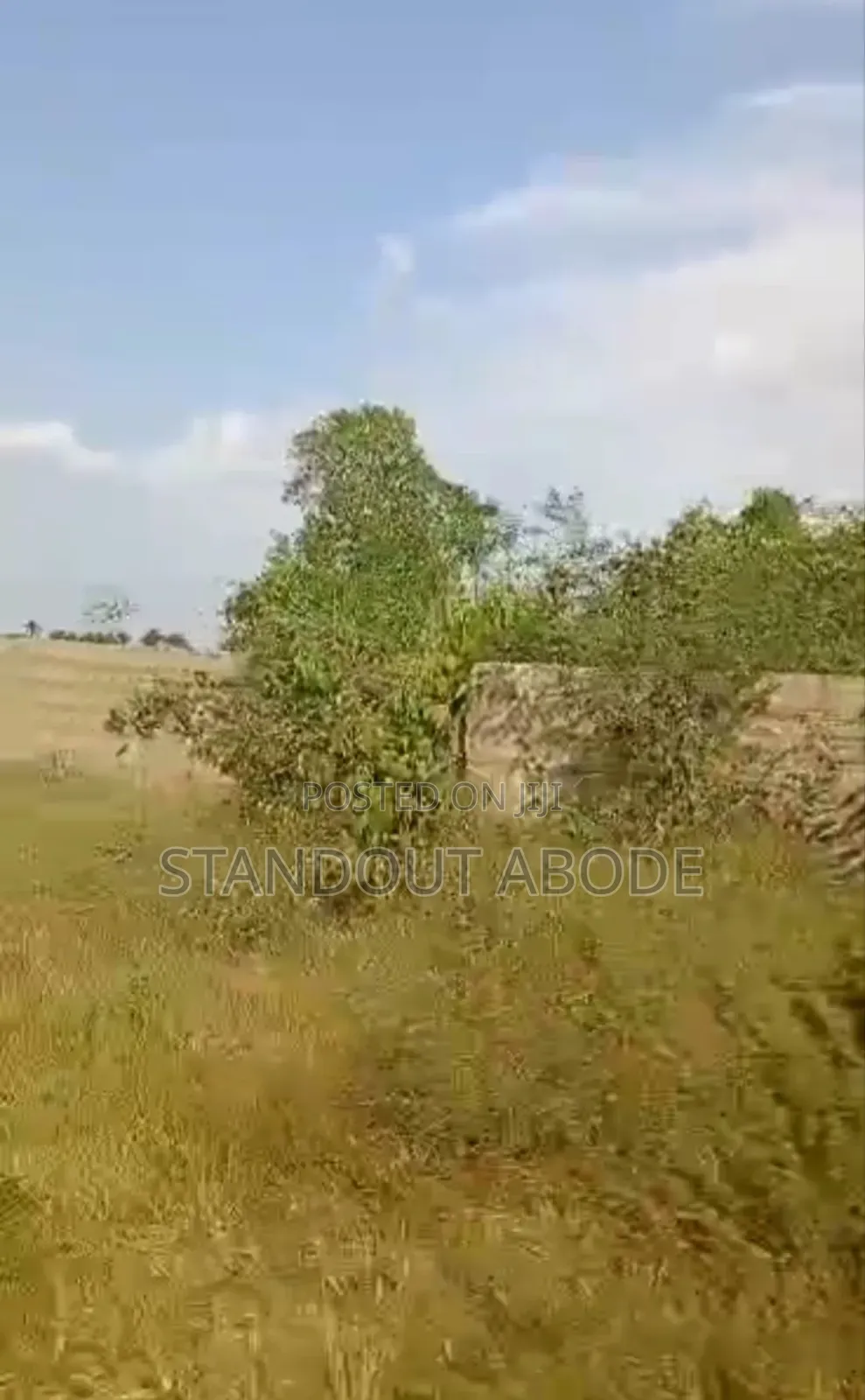 Buy a Secure Plot of Land at Ibusa in Asaba in Oshimili North