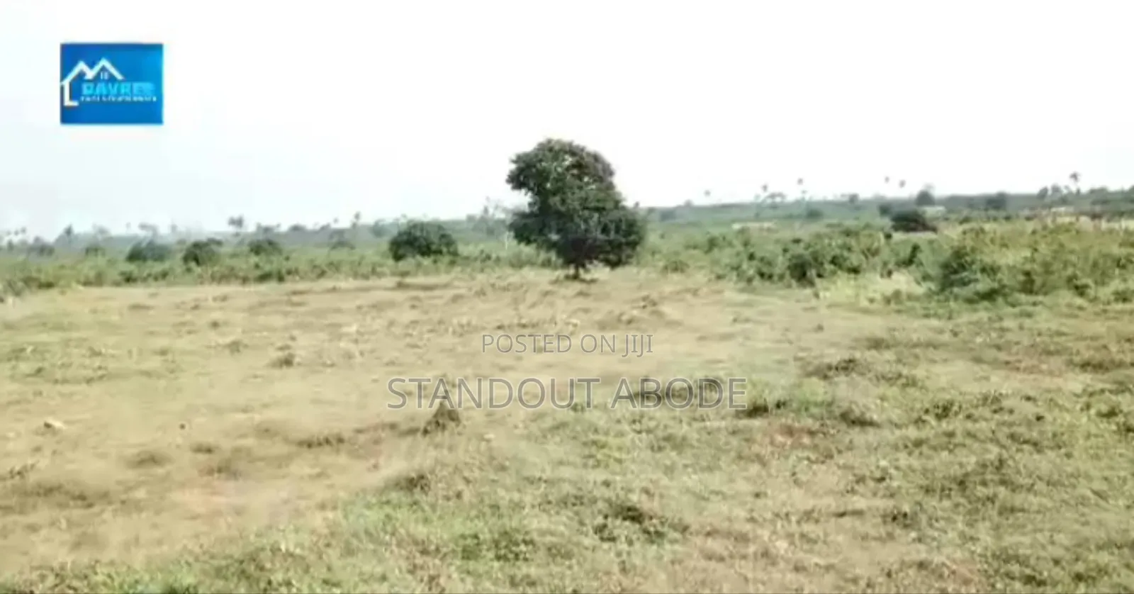 Invest in Real Estate, Buy Land in Blue Diamond Estate Phase 2 Iibusa in Oshimili North