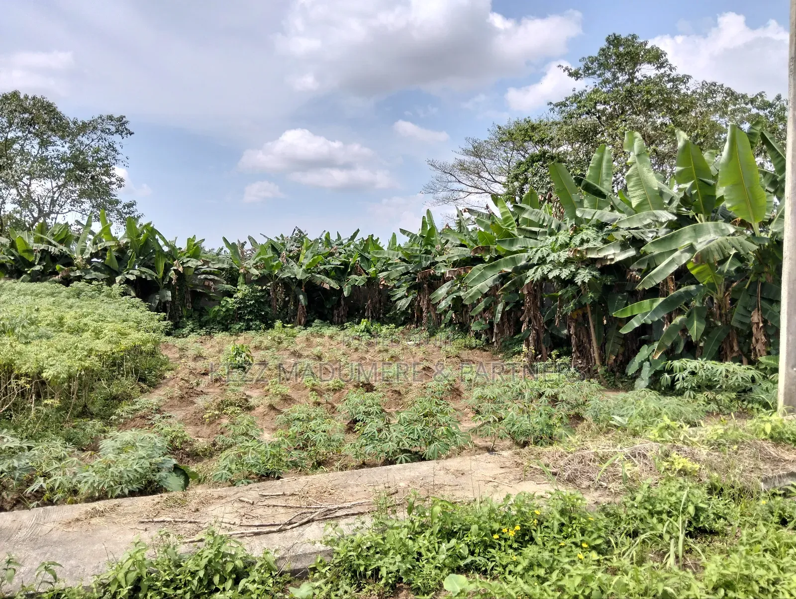 For Sale : 11⁄4 Plot at Gra, Phase 8 Eliozu Port Harcourt in Port-Harcourt