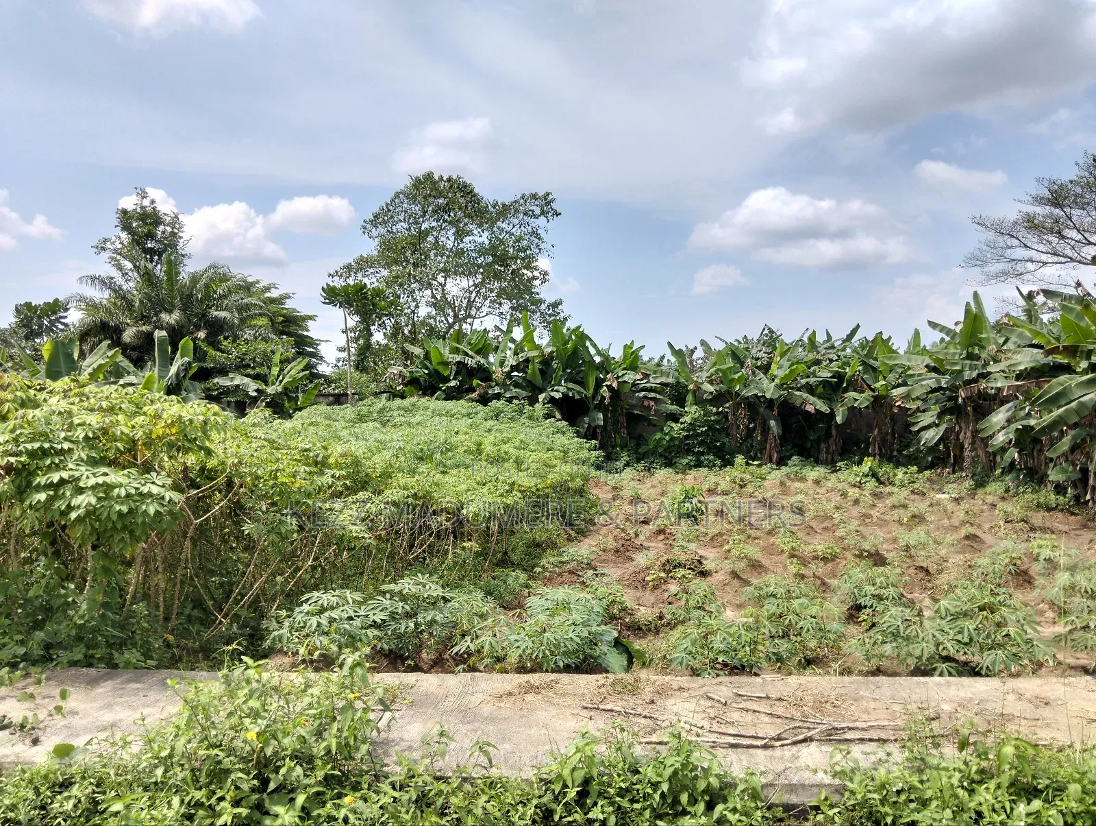 For Sale : 11⁄4 Plot at Gra, Phase 8 Eliozu Port Harcourt in Port-Harcourt