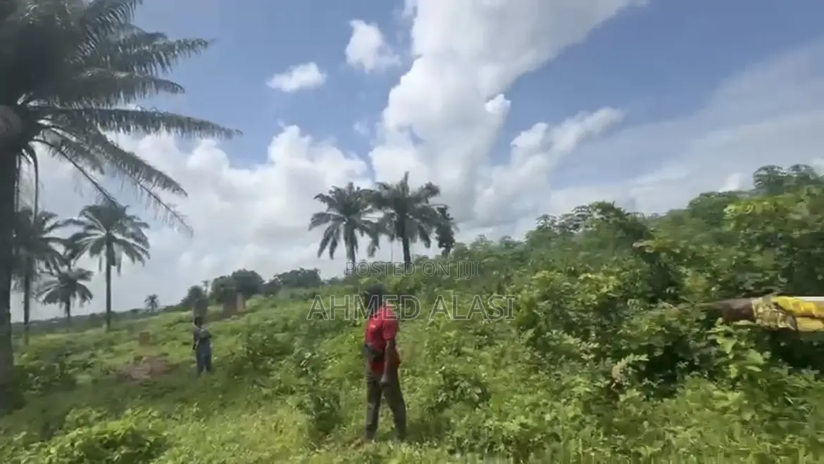 Plot of Land in Omi Adio