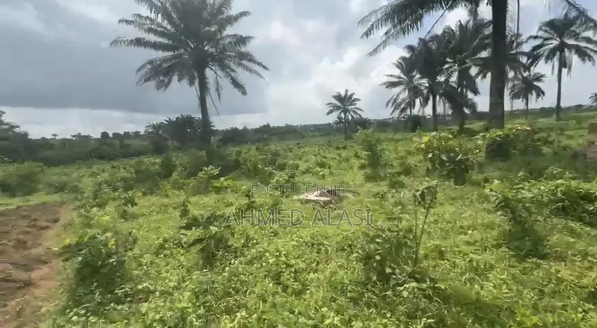 Plot of Land in Omi Adio