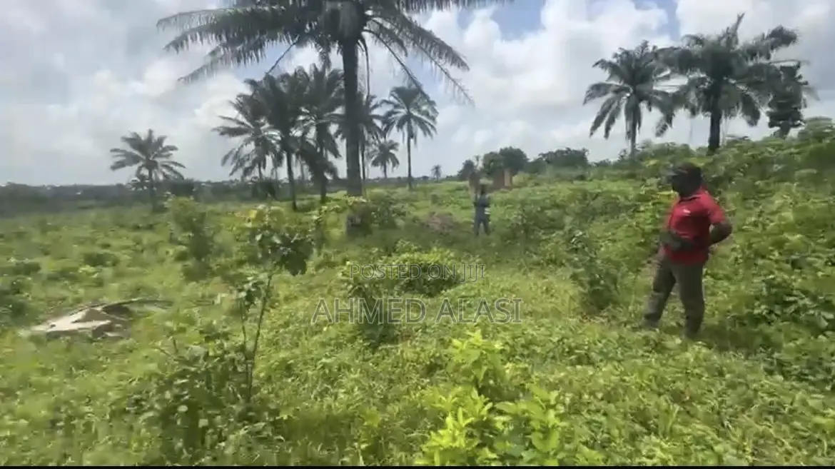 Plot of Land in Omi Adio