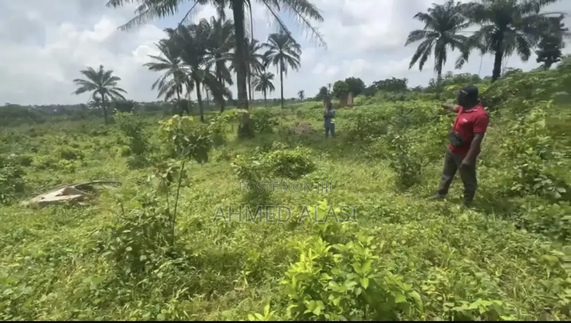 Plot of Land in Omi Adio