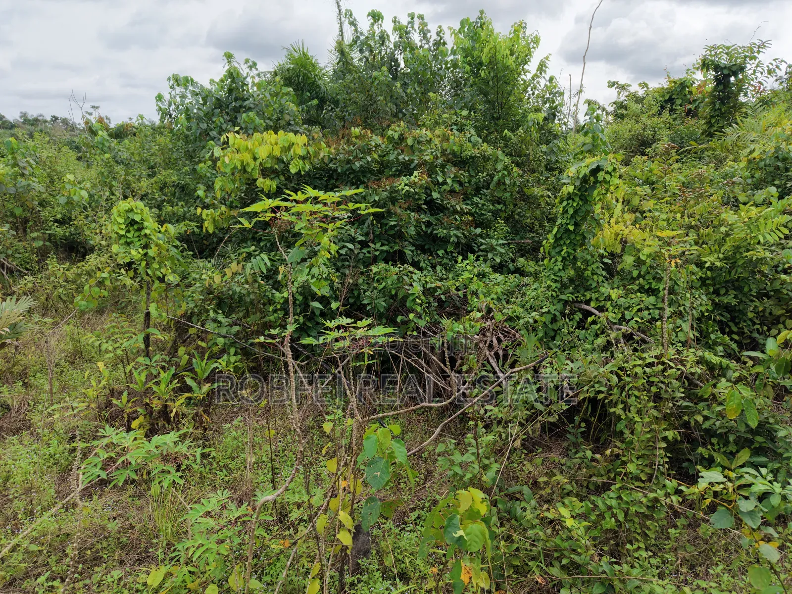 Prime Real Estate Plots for Investment! in Elerangbe