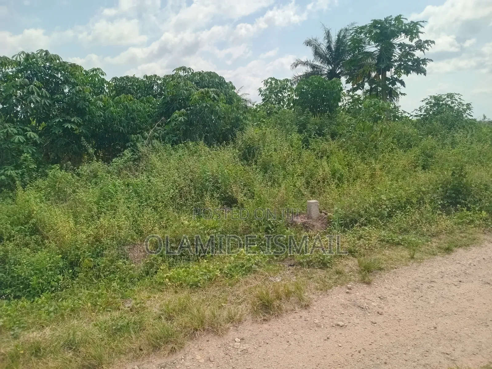 2.8m/Plot (4acre) in Ife