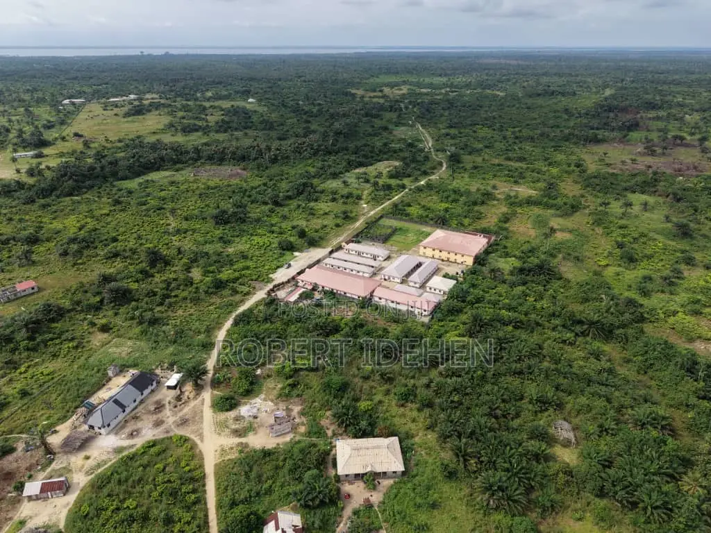 Sweet, Precious Land in Elerangbe