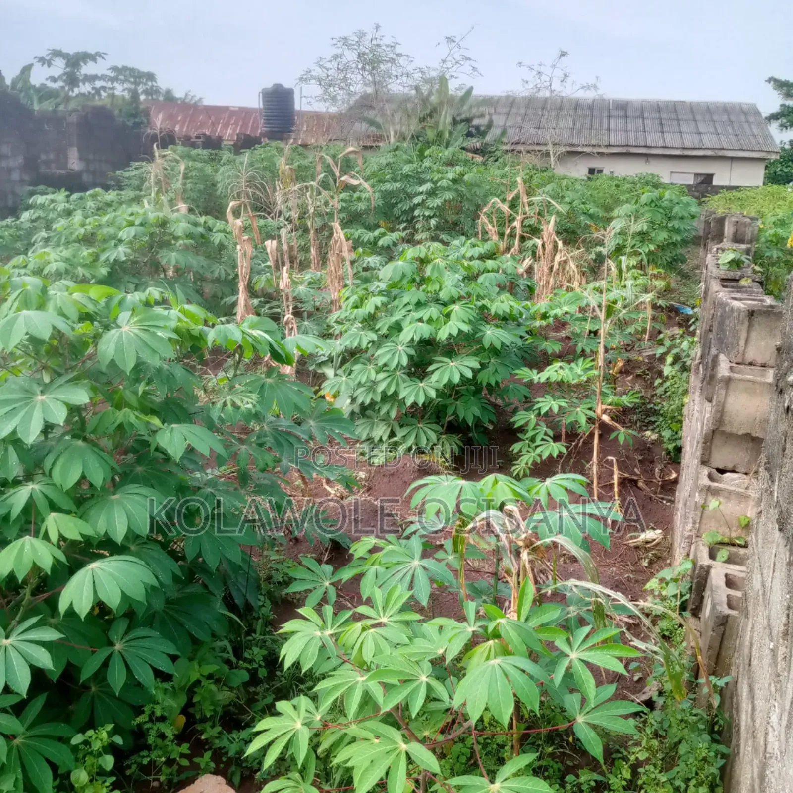 More Than Half A Plot Measure 30ft By 130ft In A Serene Environ in Ado-Odo/Ota