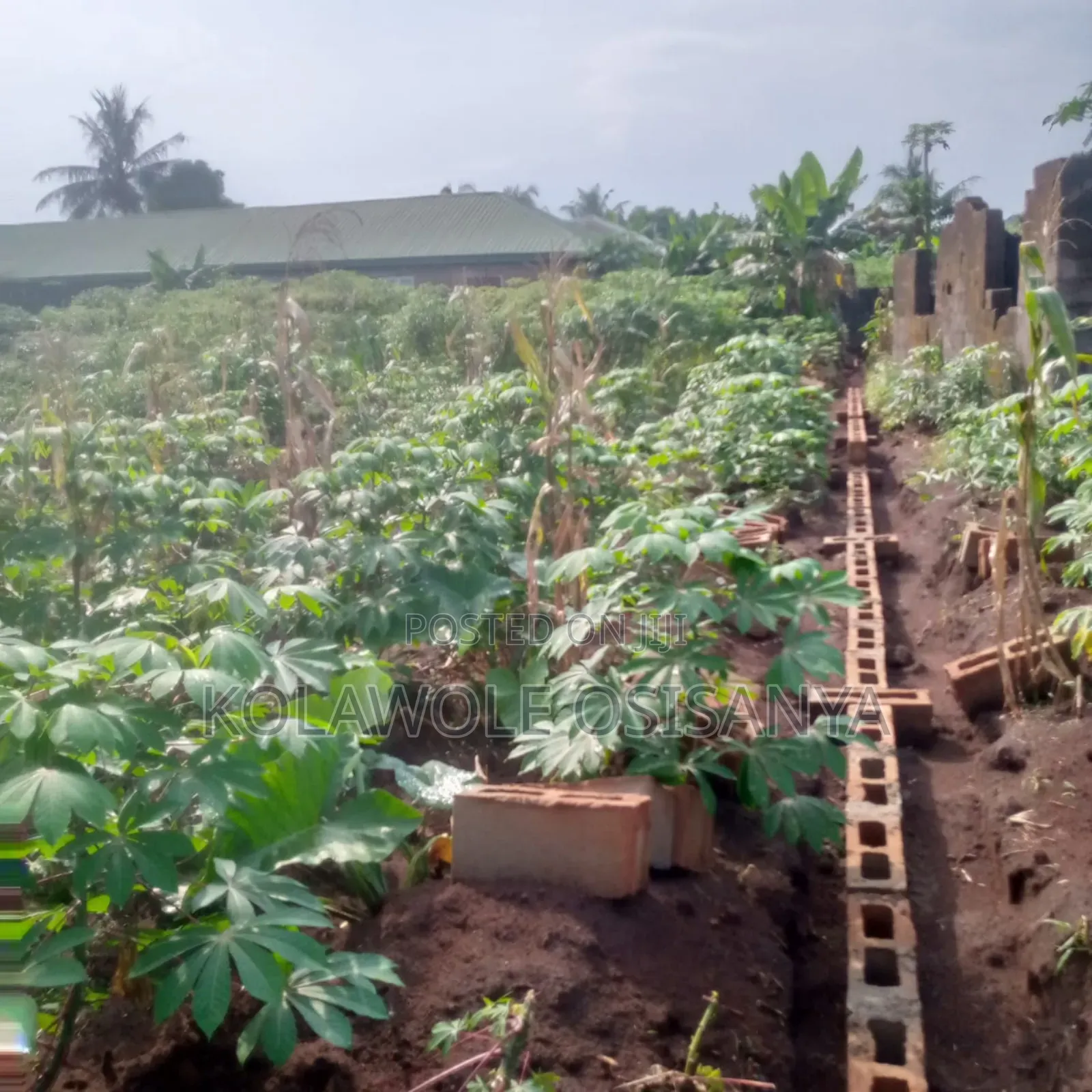 More Than Half A Plot Measure 30ft By 130ft In A Serene Environ in Ado-Odo/Ota