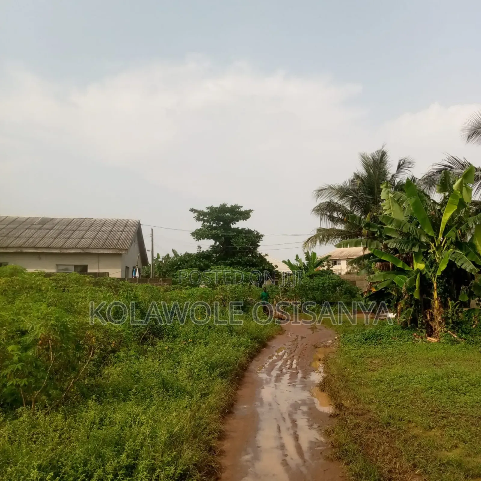 More Than Half A Plot Measure 30ft By 130ft In A Serene Environ in Ado-Odo/Ota