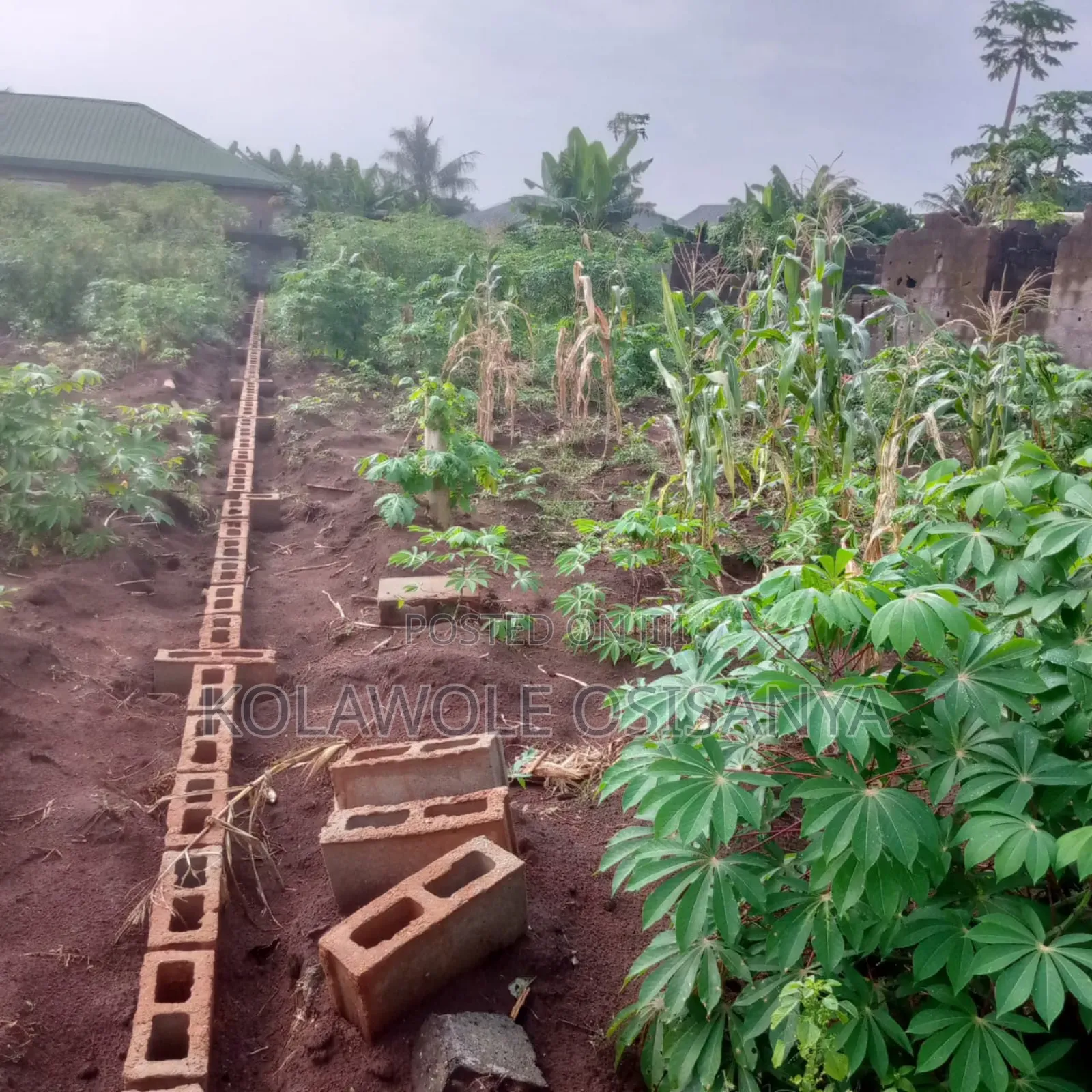 More Than Half A Plot Measure 30ft By 130ft In A Serene Environ in Ado-Odo/Ota