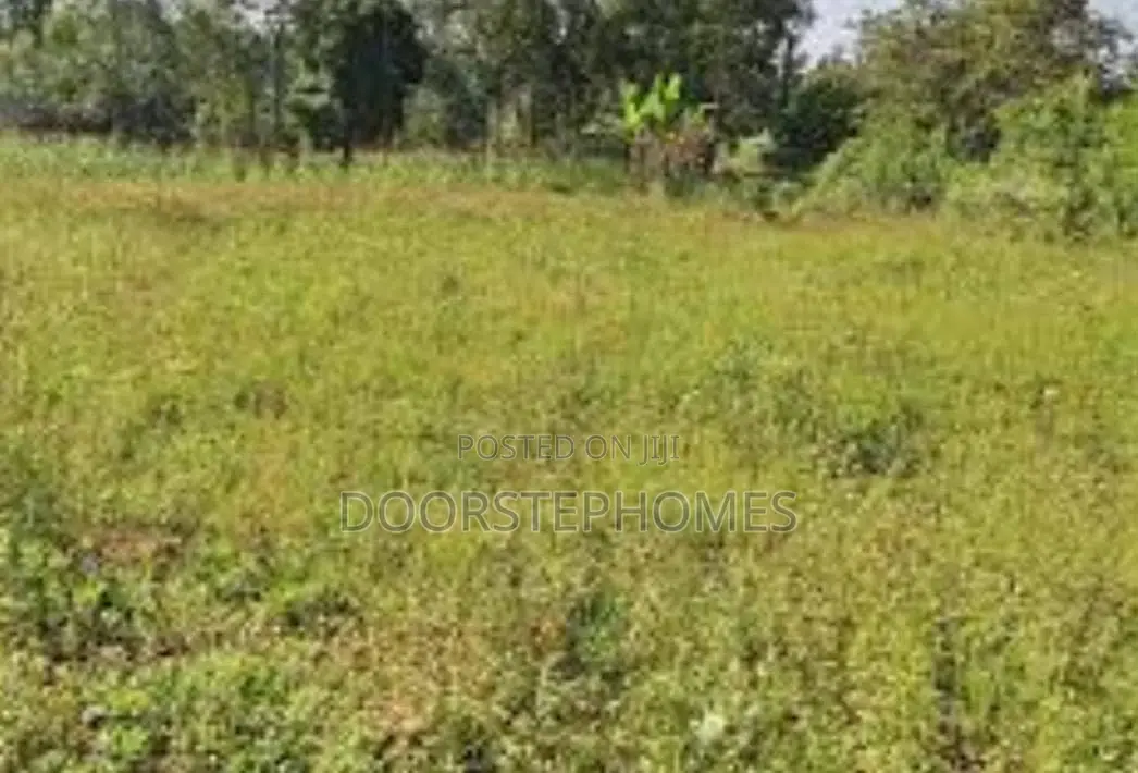 1.46 Hectares Commercial Land for Sale in Jiwa, Airport Road in Basan Jiwa