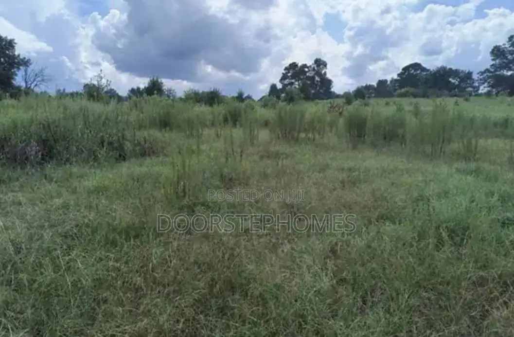 1.46 Hectares Commercial Land for Sale in Jiwa, Airport Road in Basan Jiwa