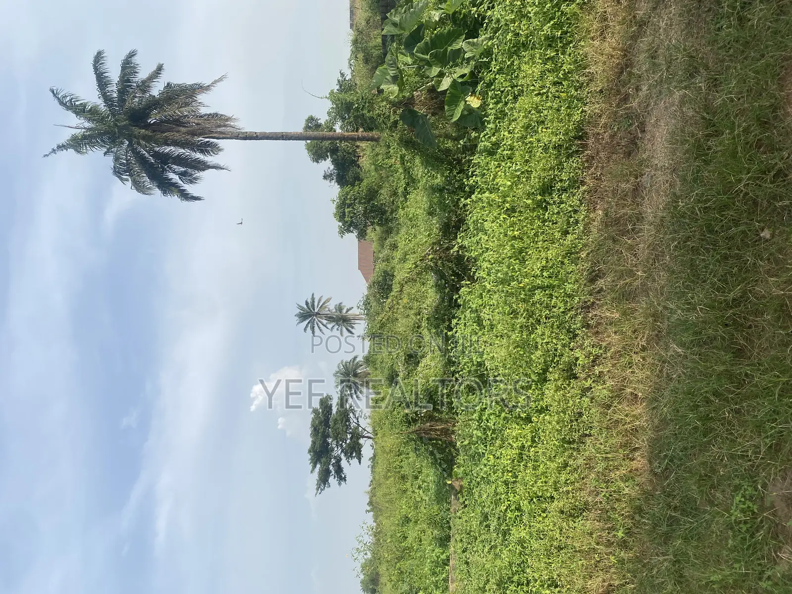 One Plot of Land for Sale at Awosun. 5 Min Work to the Express in Osun State