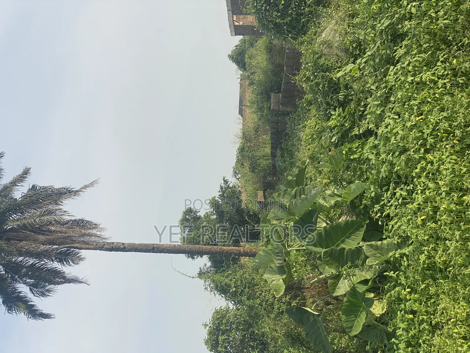 One Plot of Land for Sale at Awosun. 5 Min Work to the Express in Osun State