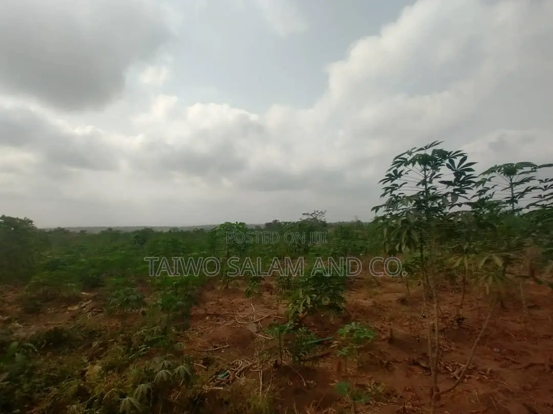 30 Acres Farmland With Cofo in Ido