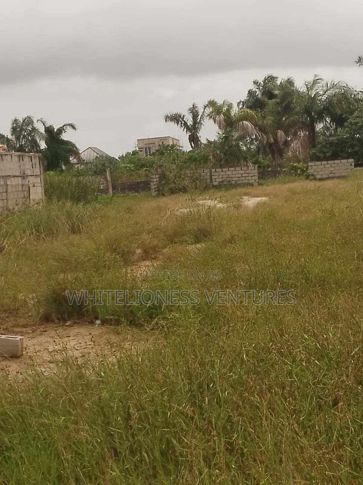 8 Plots of Palm Plantation for Sale in Ubulukwu Asaba in Oshimili North