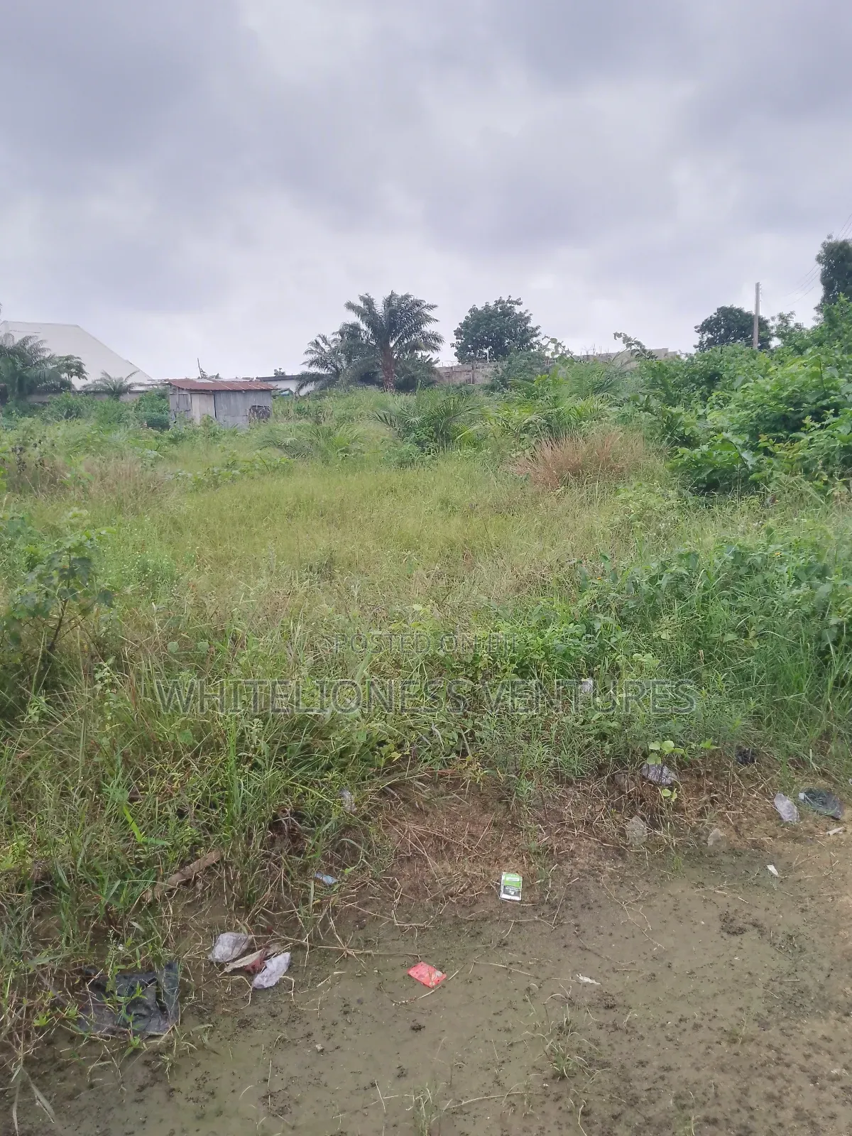 Buy 6 Plots And Get One For Free In Aniocha North in Oshimili North