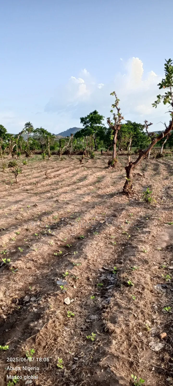 1000sqm Residential Non Estate Land for Sale in Kuje ,Abuja in Kuje
