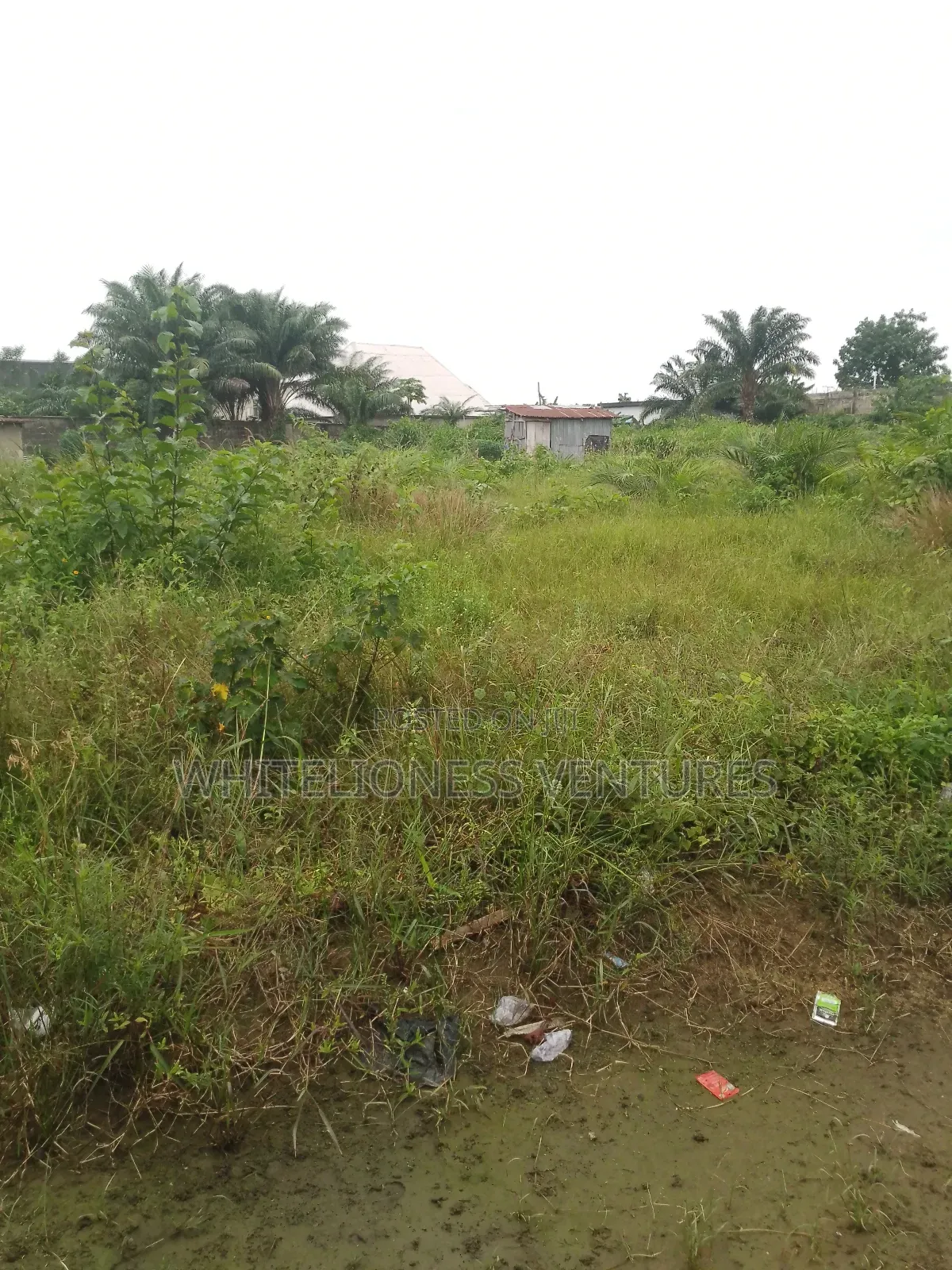 Buy 6 Plots And Get One For Free In Aniocha North in Oshimili North