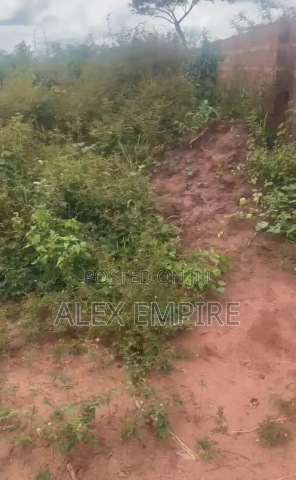 4 Plot of Land for Sale in Ego Ogwashi, Asaba Abia in Egor