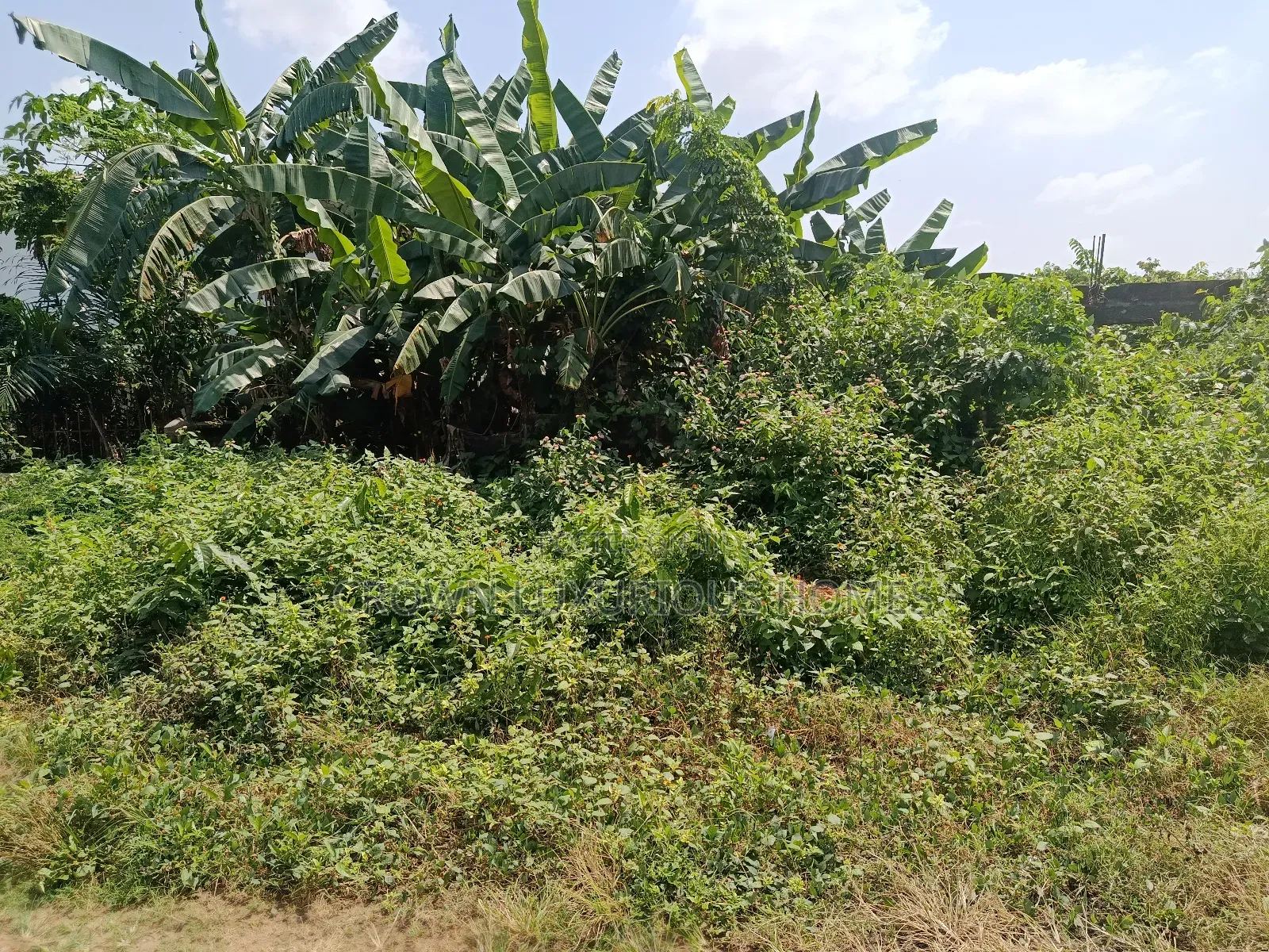 Parcel Of Land For Sale in Ibadan