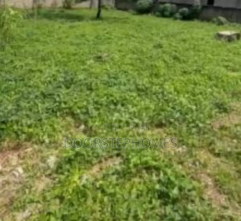 I.06 Hectares Commercial Land for Sale in Aviation Village in Kiami