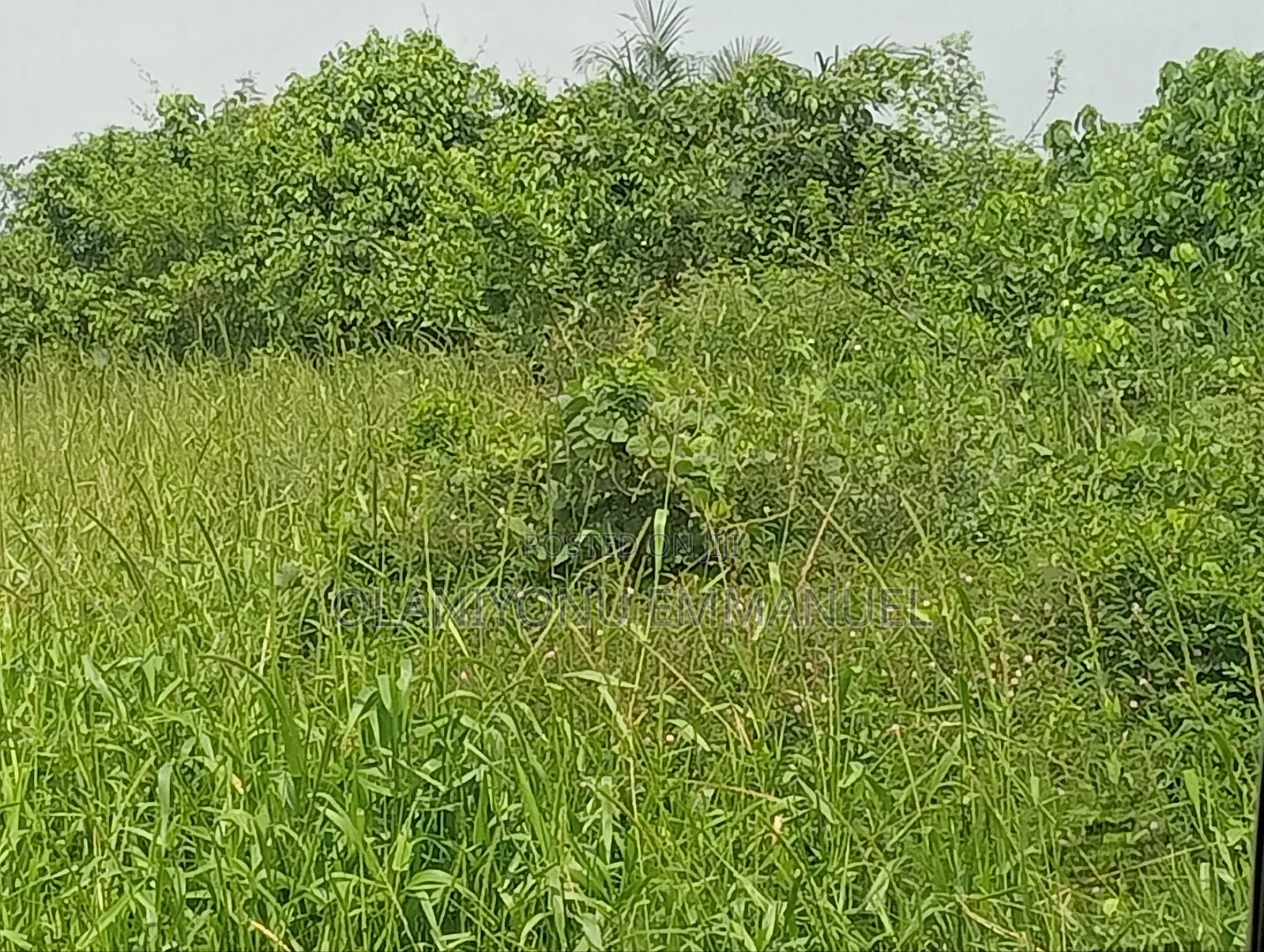 A Full Plot of Land in Isheri North Estate in Isheri North