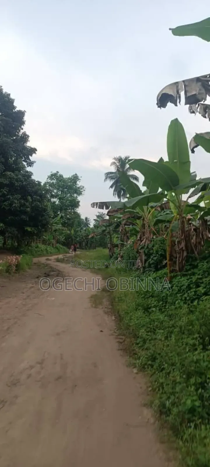 Distress Buy and Build Land for Sale in Port-Harcourt