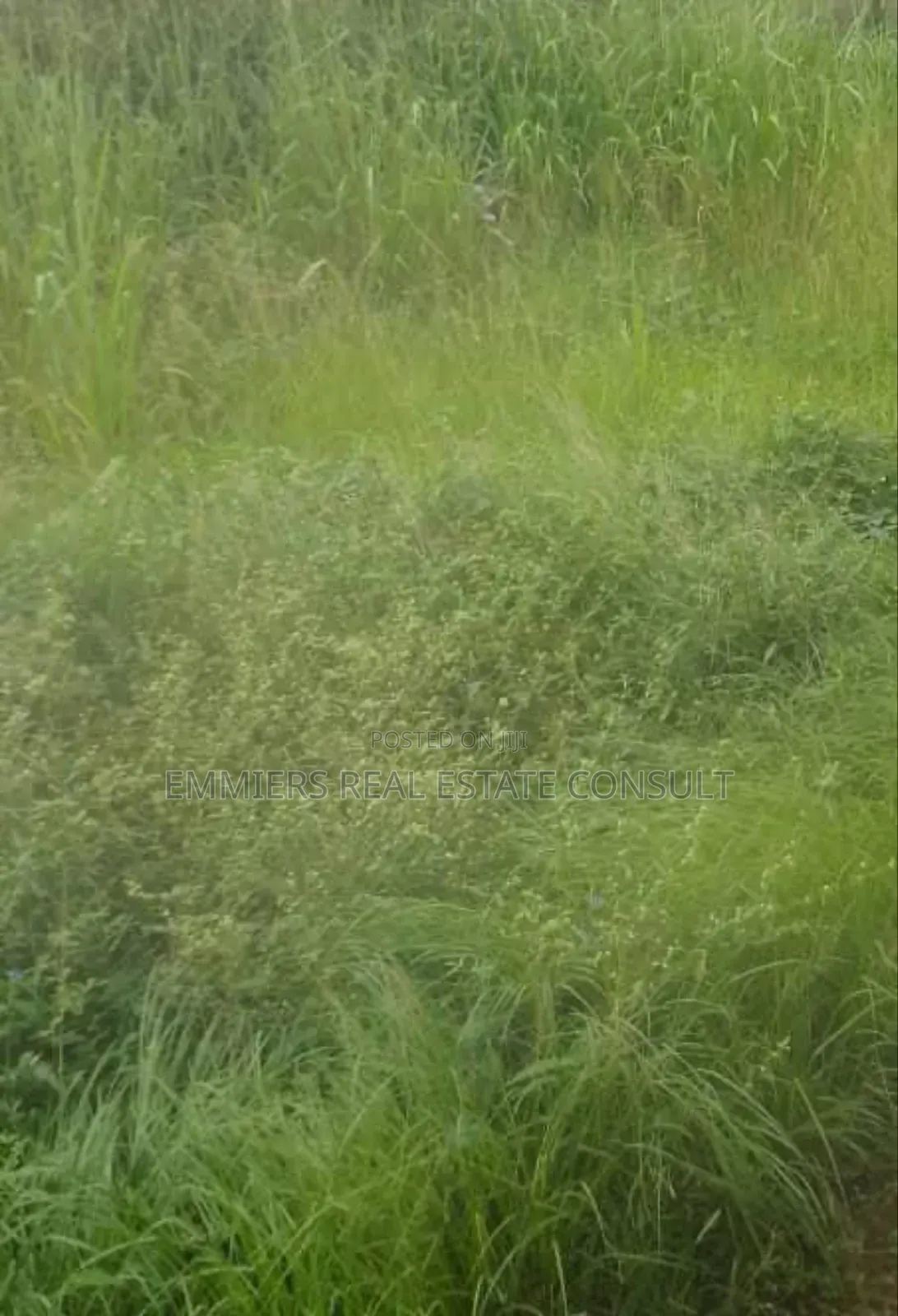 Land for Sale in Lekki Expressway
