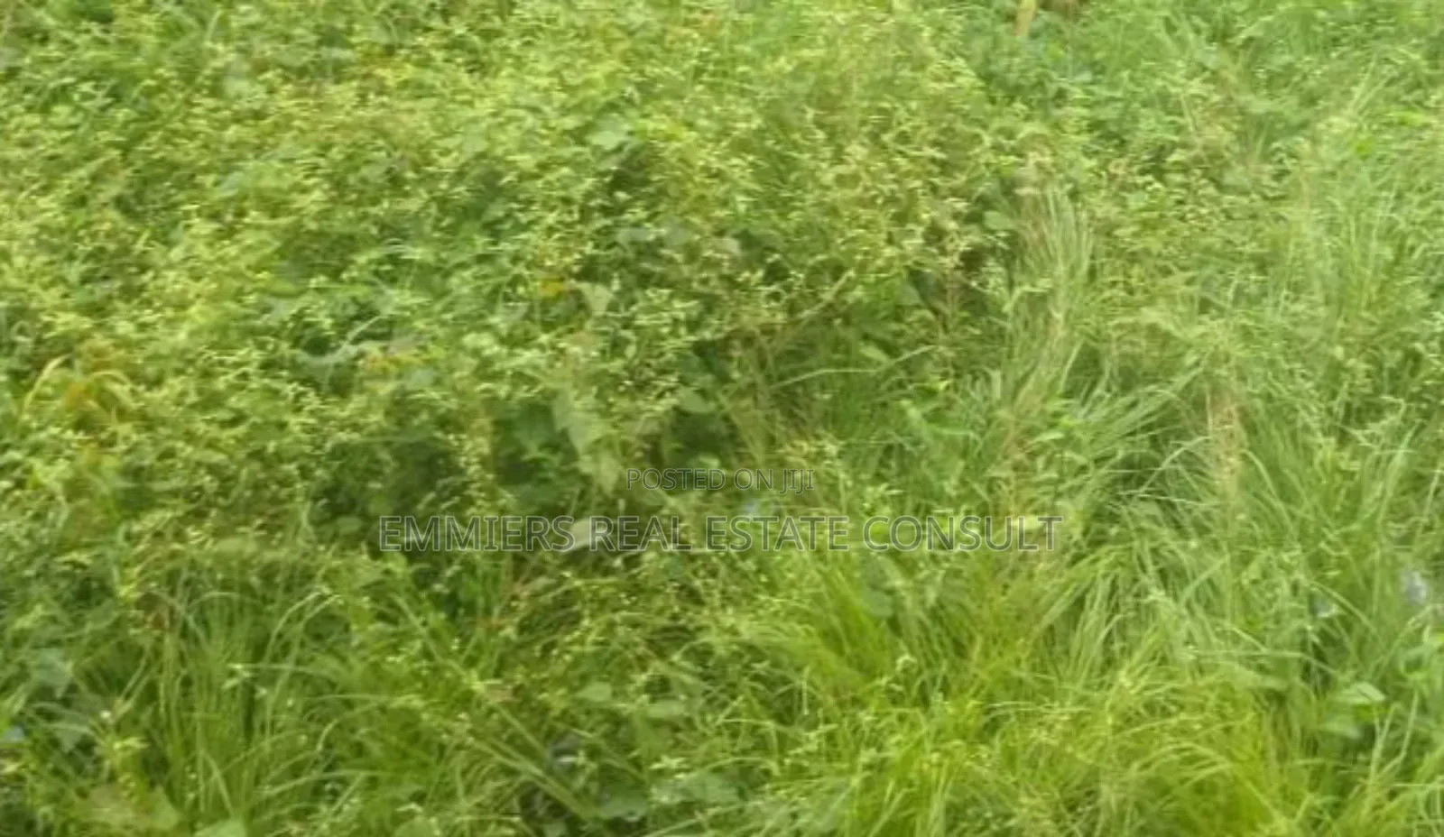 Land for Sale in Lekki Expressway