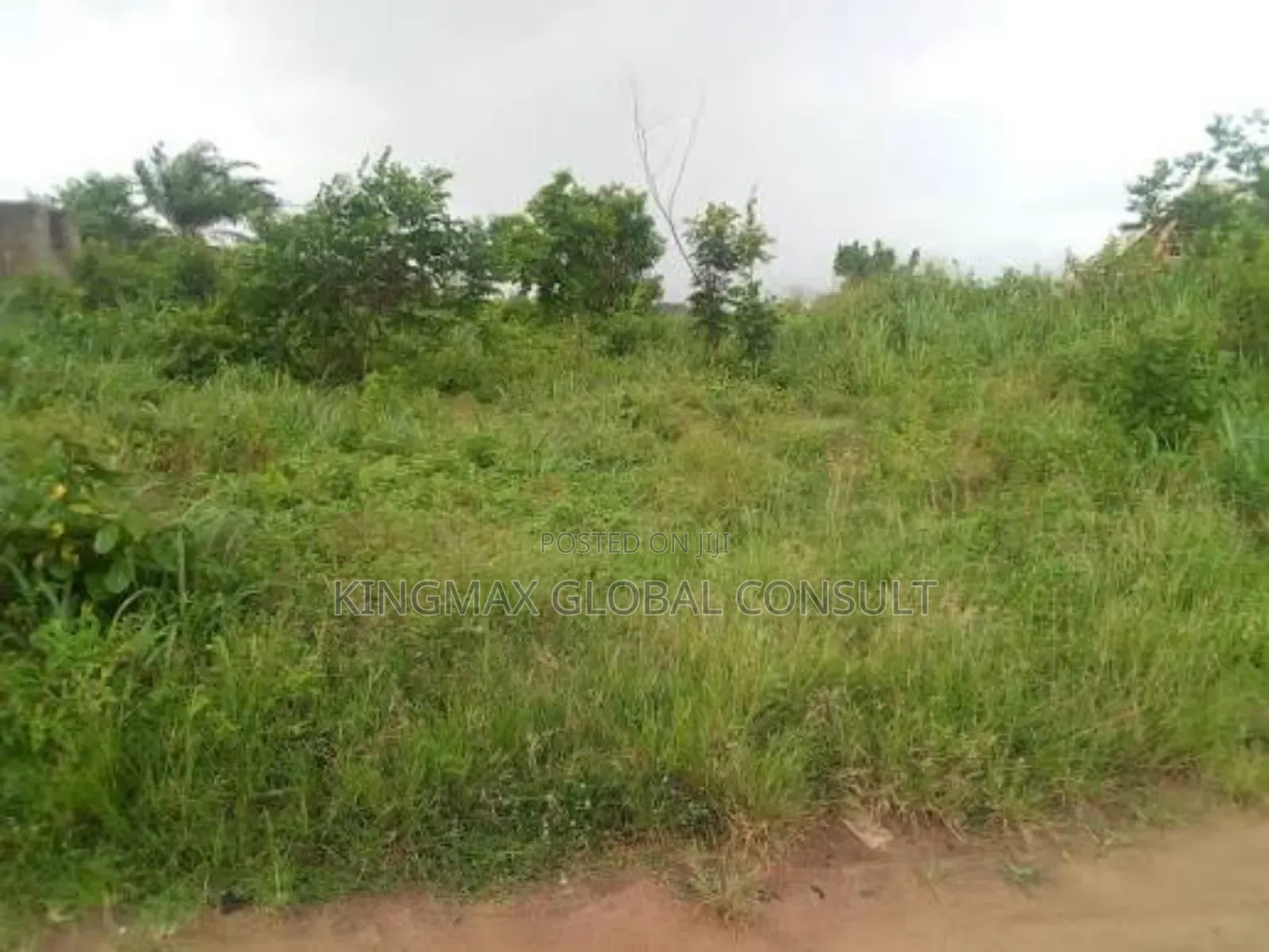 For Sale! Residential Plot : 2244 Size: 1452sqm Title : C Ofo / Rofo in Jahi