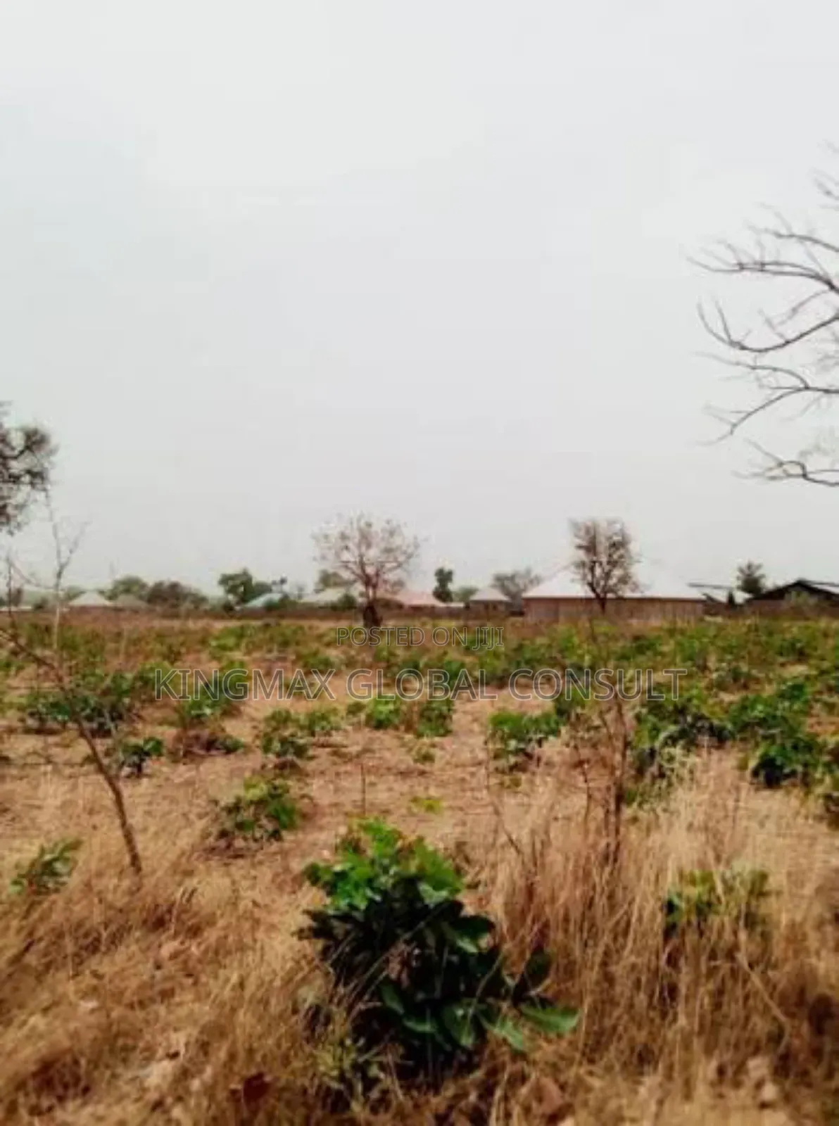 Land for Sale at Apo 
2000 Sqms, Cofo Collected in Apo Resettlement