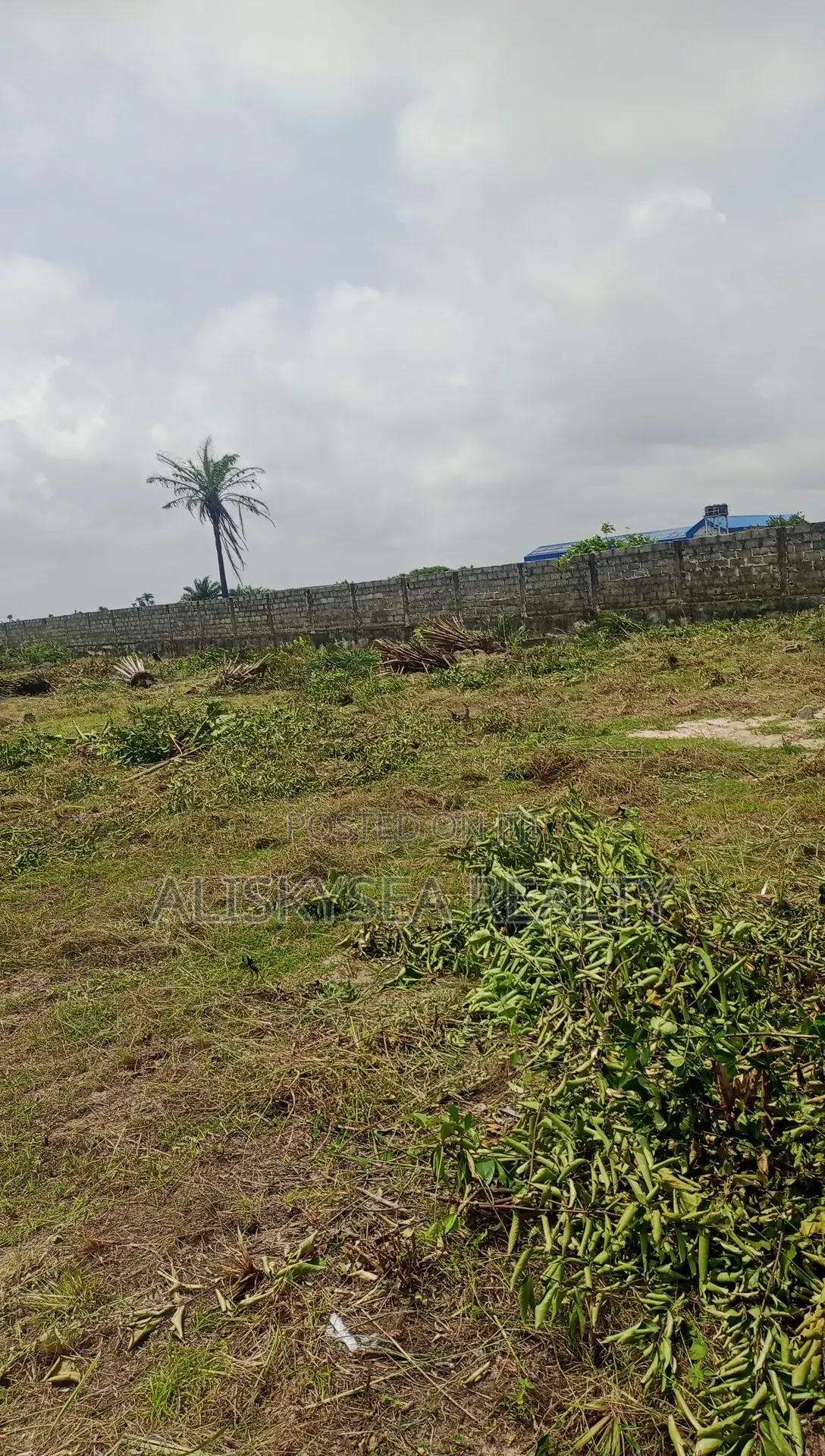 Dryland Behind Amen Estate With C of O in Eleko