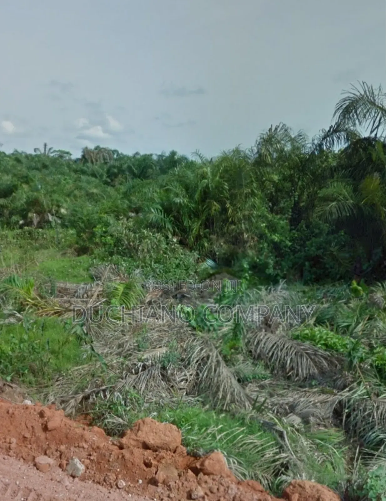Amen Estate Phase 2: One Plot for Sale in Eleko