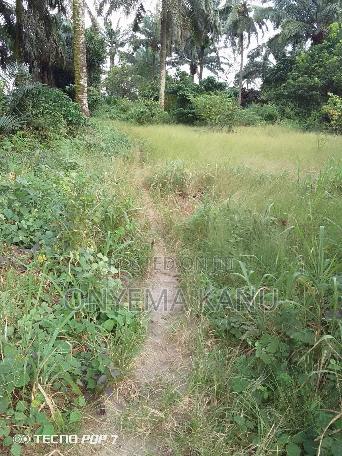 100 Plots for a Giveaway. in Ukwa